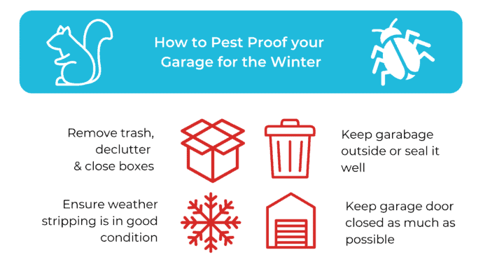 Infographic - How to pest proof your garage for the winter
