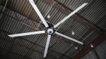 High-performance industrial ceiling fan with six silver blades providing energy-efficient cooling in a commercial space.